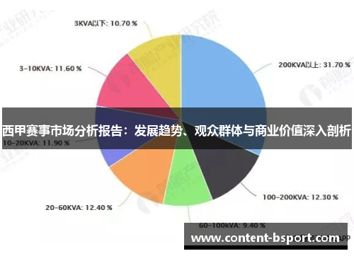 西甲赛事市场分析报告：发展趋势、观众群体与商业价值深入剖析