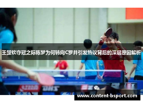 /works/517.html
