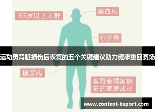 运动员肾脏损伤后恢复的五个关键建议助力健康重回赛场