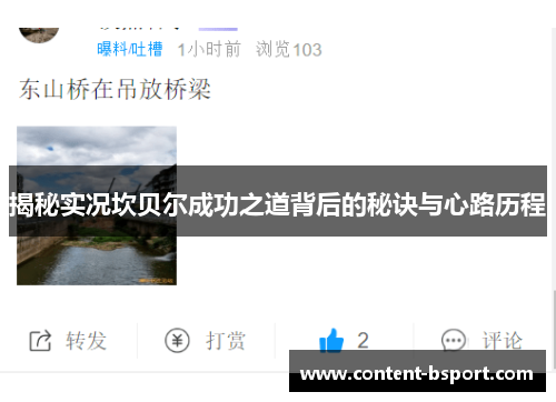 揭秘实况坎贝尔成功之道背后的秘诀与心路历程