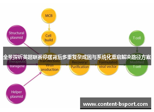 全景探析英超联赛停摆背后多重复杂成因与系统化重启解决路径方案