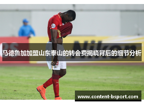马德鲁加加盟山东泰山的转会费揭晓背后的细节分析